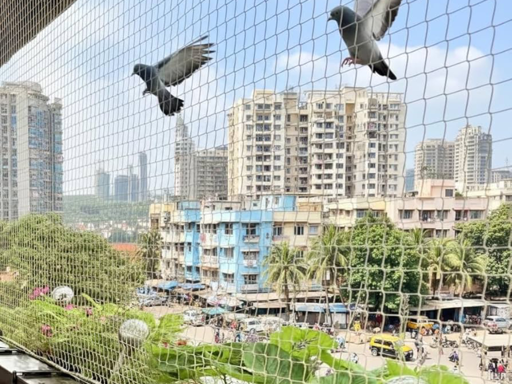 Bird Netting  Saravanampatti